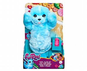 ���� ��� ���-�� ����� ������ ������ FURREAL