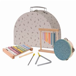 סט כלי נגינה דייניז – Dainy’s Musical instrument set סט כלי נגינה דייניז – Dainy’s Musical instrument set