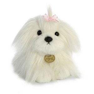 ���� ����� ��� ����� ����� 28 �"� Aurora 