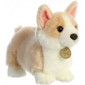 ���� ��� ����� ����� ����� 20 �"� Aurora 