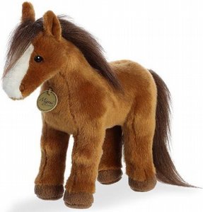 ���� ��� ��� ����� 25 �"� � AURORA