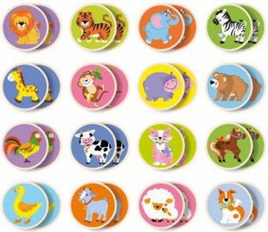 ���� ���� ������ ��� - ����