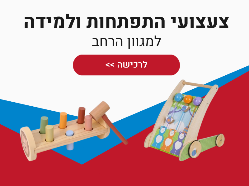 צעצועי התפתחות ולמידה